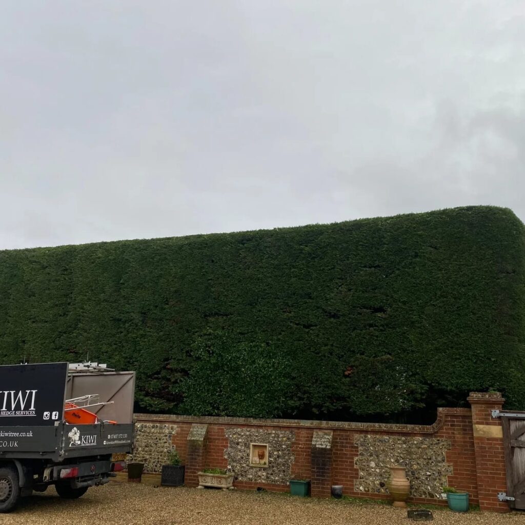 Hedge Cutting Eastergate