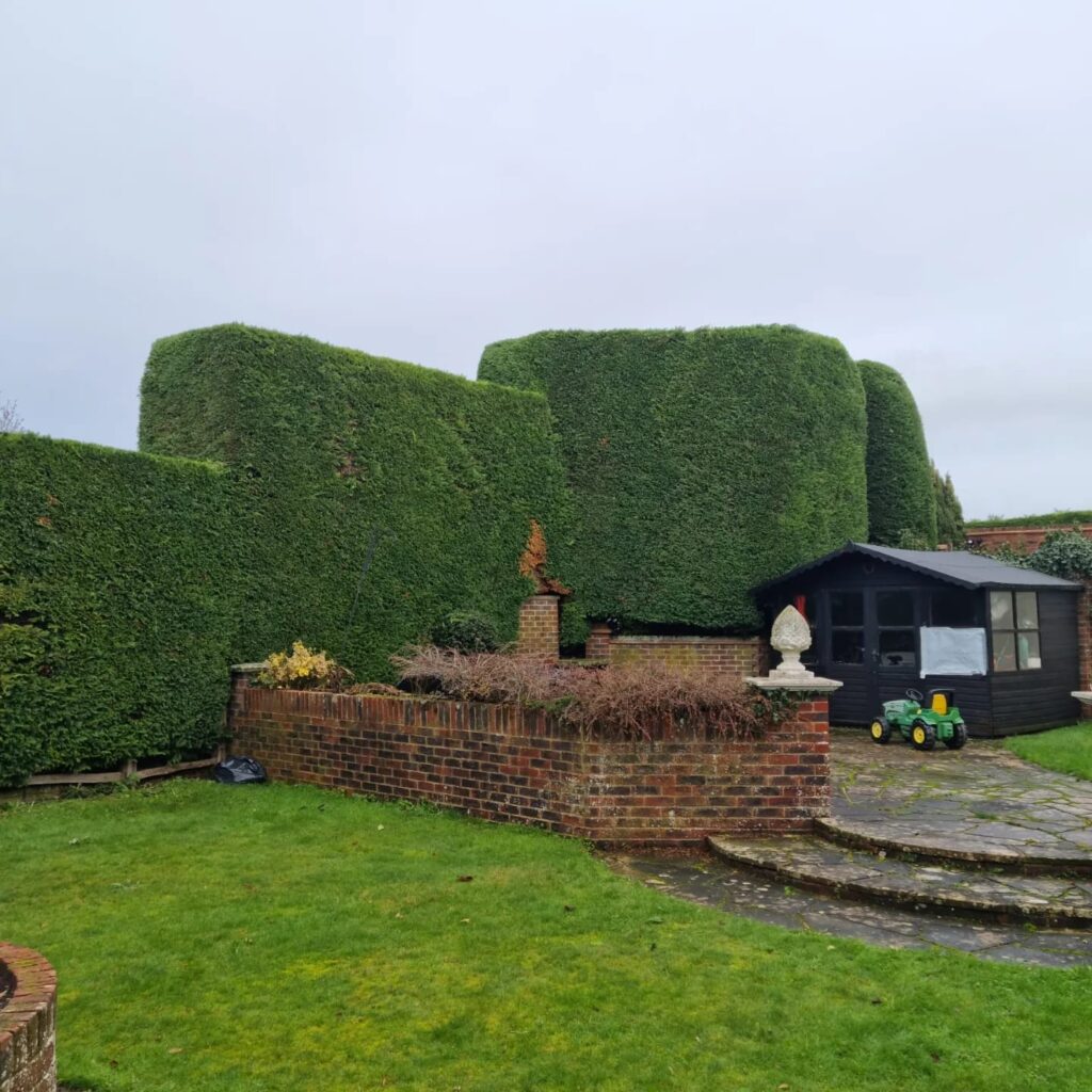 Hedge Cutting Yapton