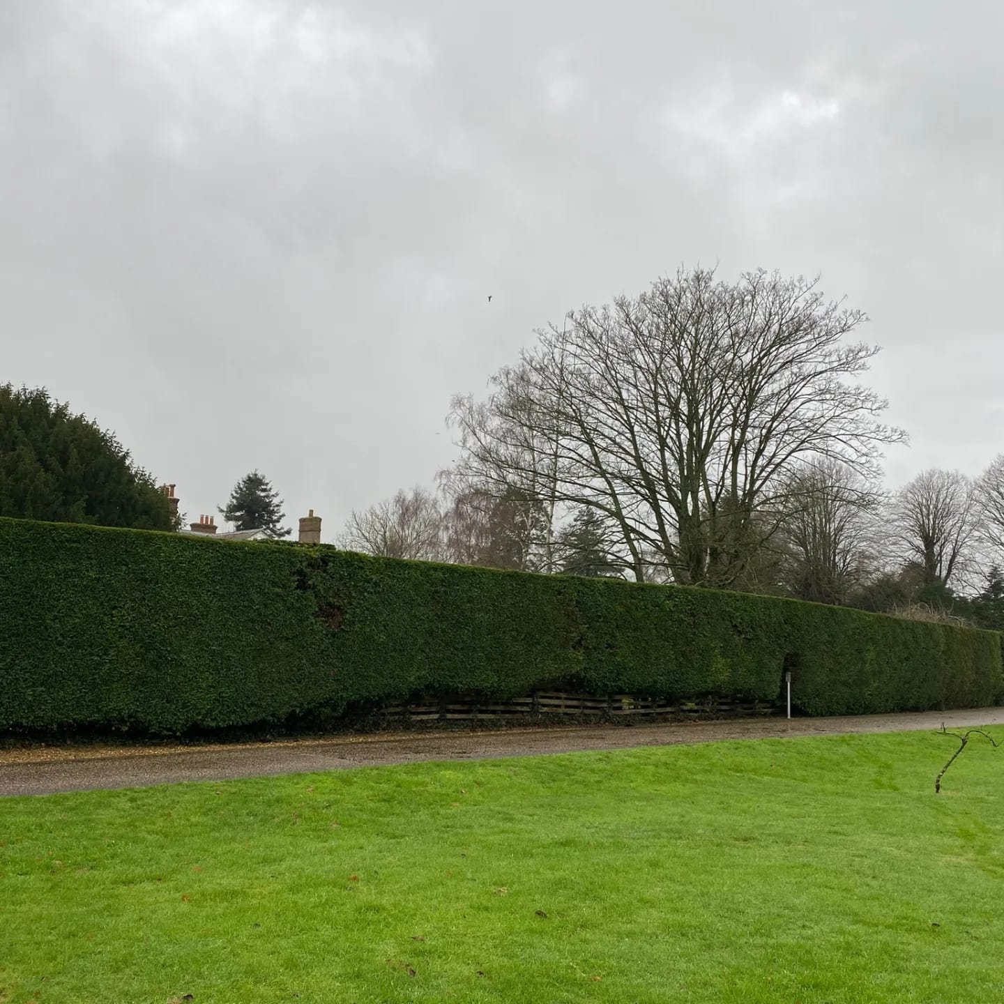 Hedge Cutting in Fontwell