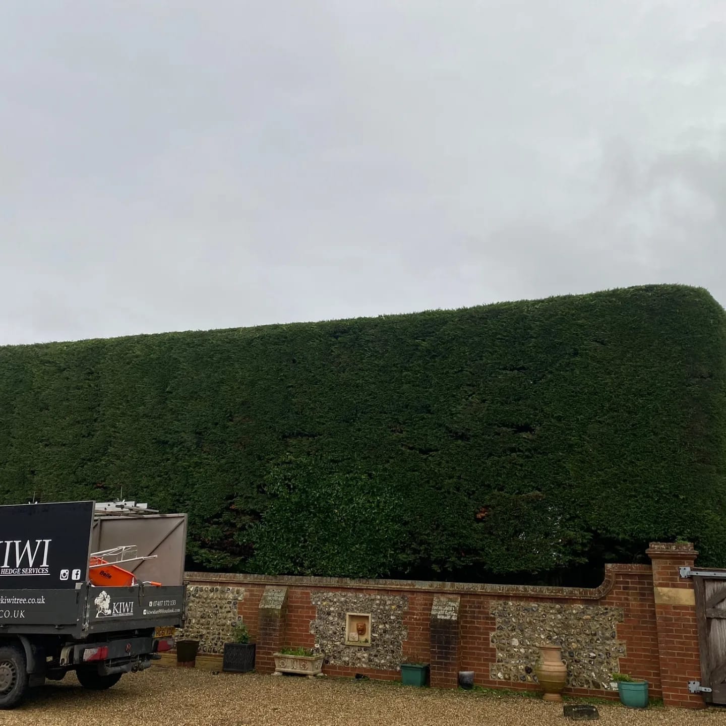 Hedge Cutting in Fontwell