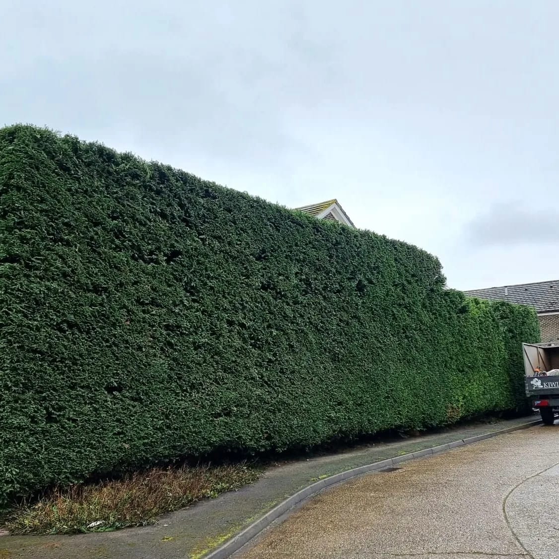 Hedge Cutting in Fontwell