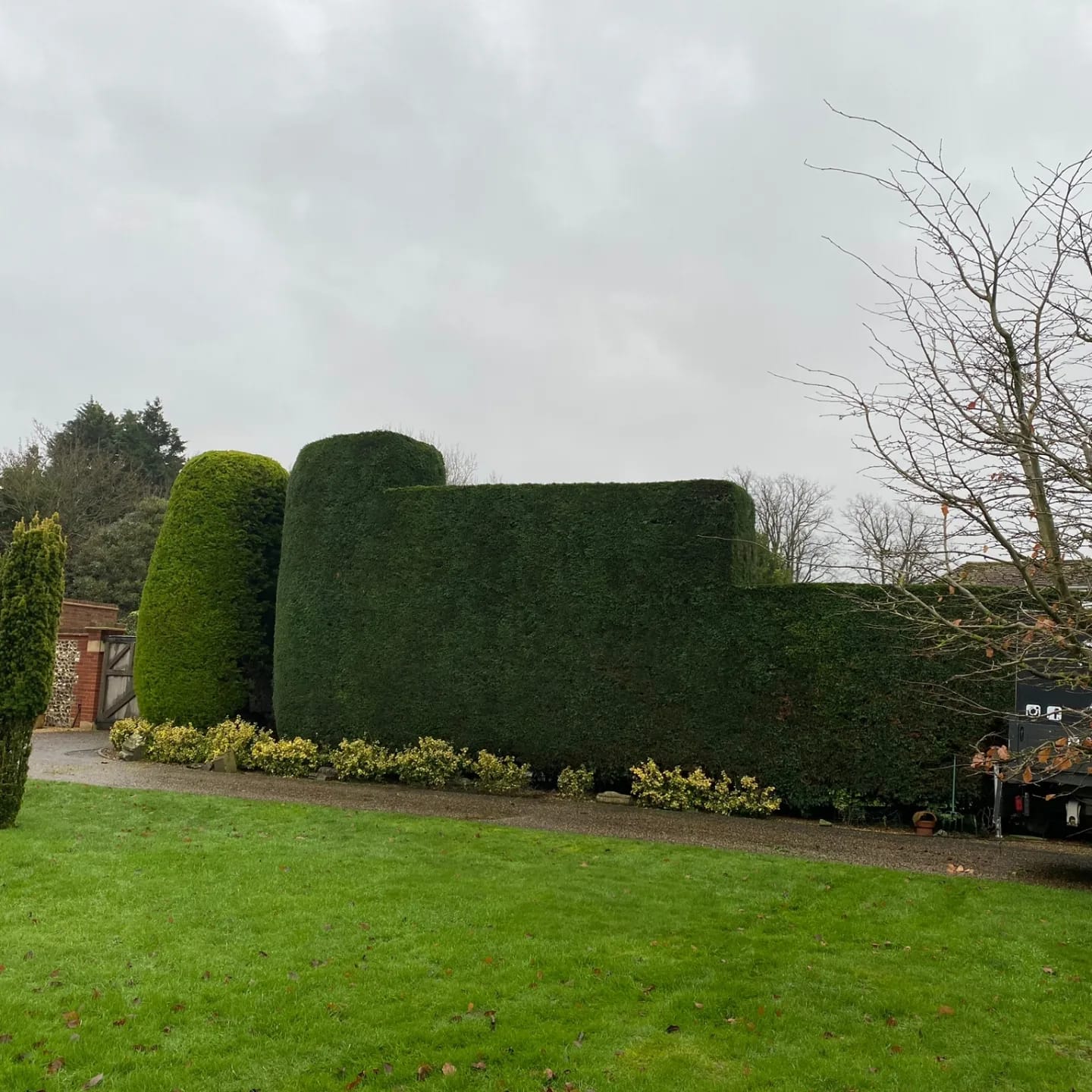 Hedge Cutting in Fontwell