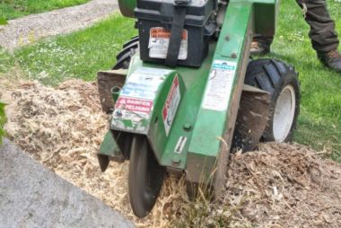 Tree Stump Removal