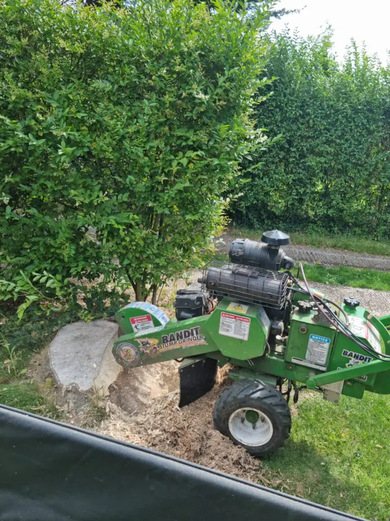 Tree Stump Removal in Barnham